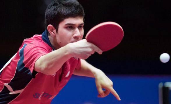 不仅引人入 不仅引人入