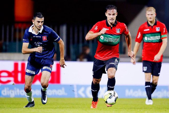 积极引进新 积极引进新