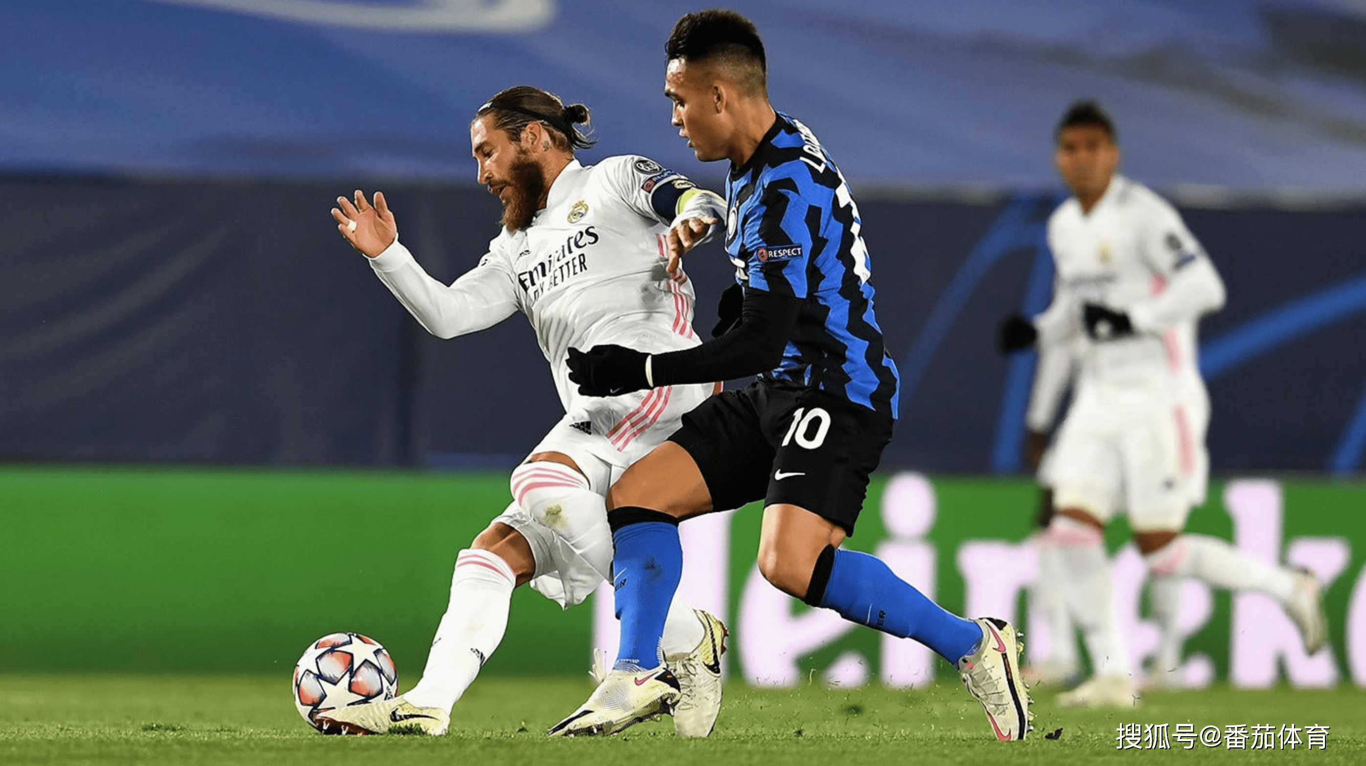 低位压缩肋 低位压缩肋