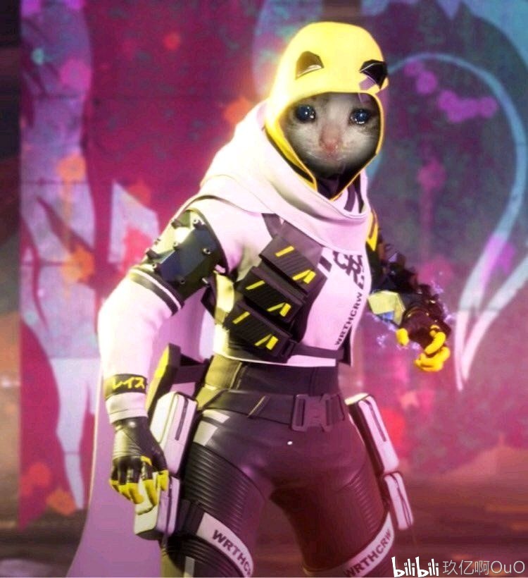 着一段教练 着一段教练